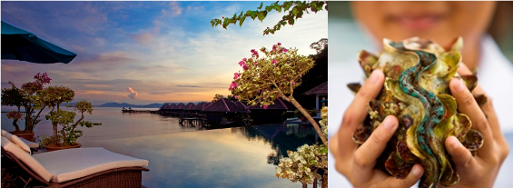 Ladies 健康生活雜誌