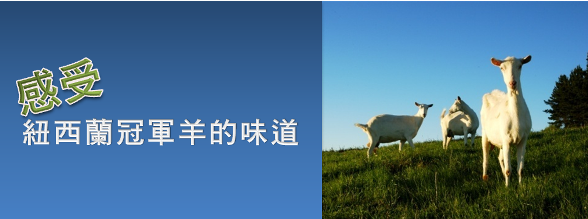 Ladies 健康生活雜誌