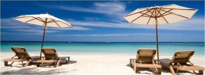 Ladies 健康生活雜誌