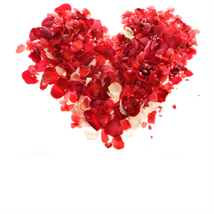 Ladies 健康生活雜誌