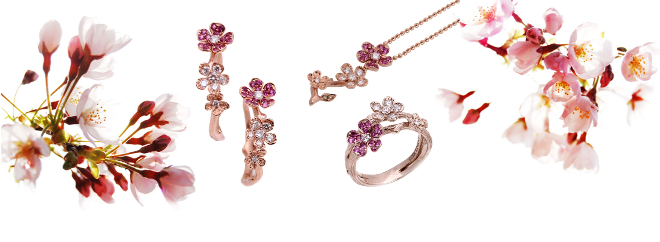 Ladies 健康生活雜誌