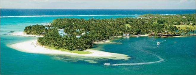 Ladies 健康生活雜誌