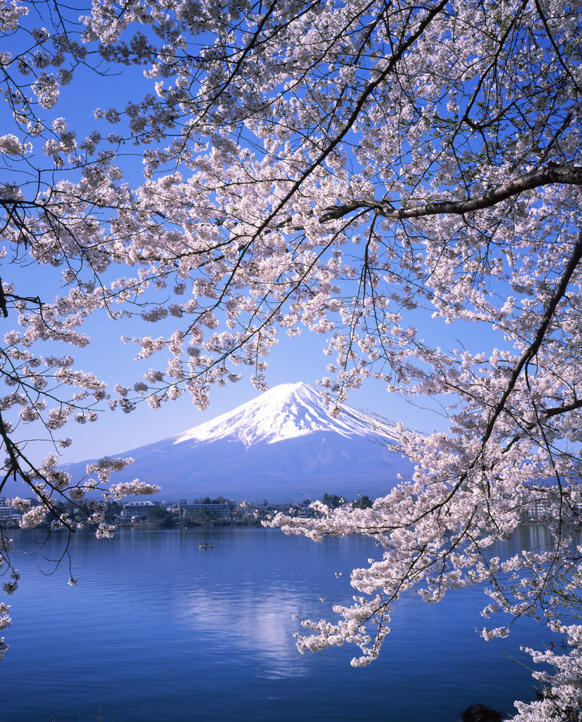 Ladies 健康生活雜誌